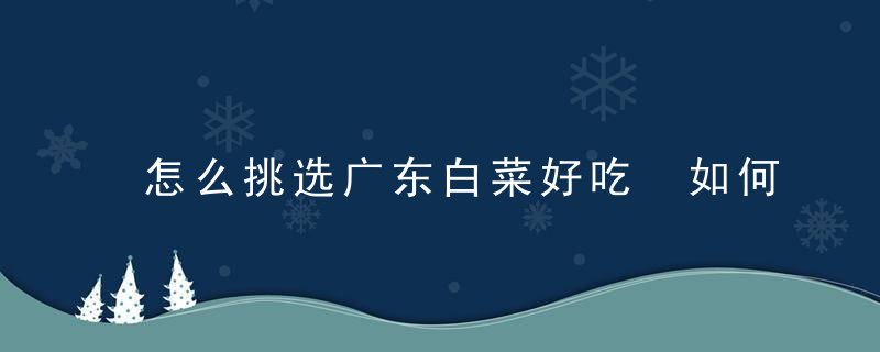 怎么挑选广东白菜好吃 如何挑选广东白菜好吃